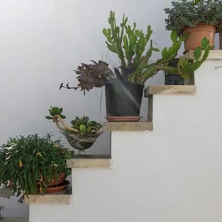 Holiday home Monolocale Garden *