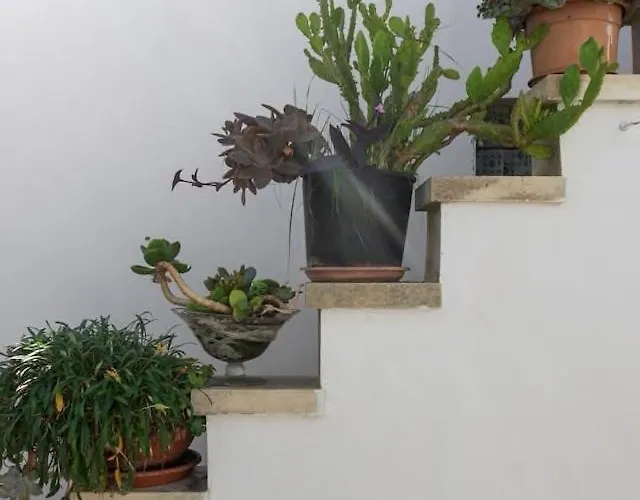 Casa vacanze Monolocale Garden *